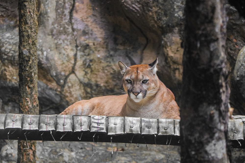 IMG 4810.JPG paola chirivi