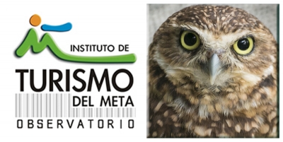 El instituto de turismo del meta realizará mañana 25 de marzo el lanzamiento del aplicativo web observatorio turístico del meta-OBTUME