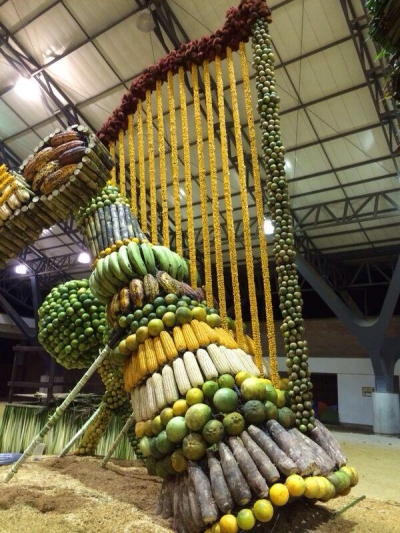 Las carrozas y  carretillas frutícolas del Ariari  estarán presentes en la gran parada “los llanos son vida” programada para hoy  a partir de  la 1:00 de la tarde