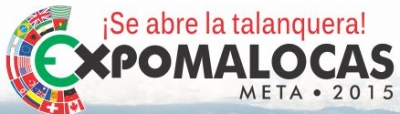 Grupo interdisciplinario del gobierno Departamental última detalles para la realización de  Expomalocas 2015.